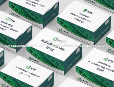 金开瑞高灵敏度mRNA纯化试剂盒,从总RNA快速分离高纯度和完整mRNA