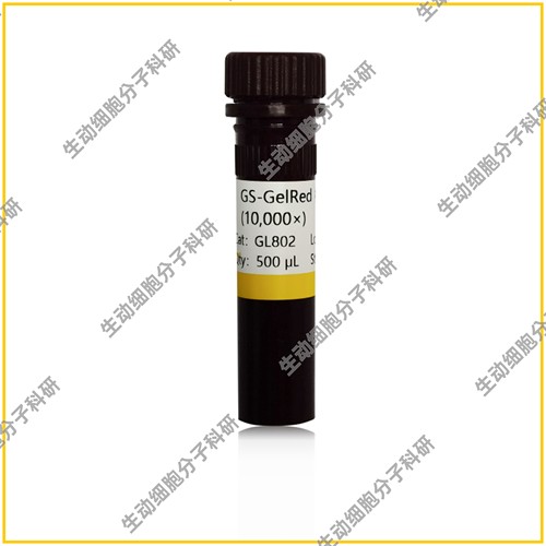 GS-GelRed 核酸凝胶染料(10,000×)安全无毒，高灵敏核酸凝胶染料