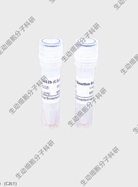 BOLAZ依赖RNA介导的内切核酸酶AacCas12b核酸酶(C2c1)剪切双链DNA