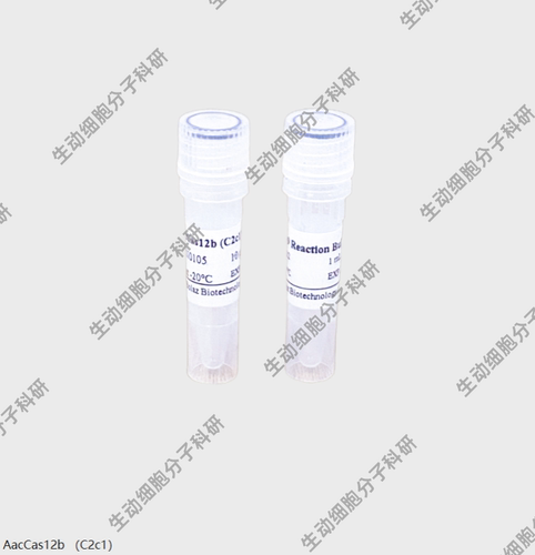 BOLAZ依赖RNA介导的内切核酸酶AacCas12b核酸酶(C2c1)剪切双链DNA