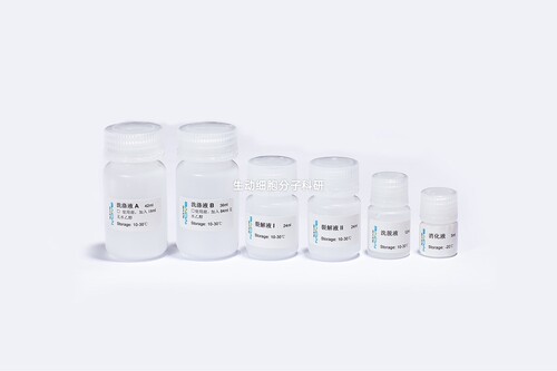BIOG石蜡包埋组织RNA提取试剂盒，快速高效提取石蜡组织样本中RNA