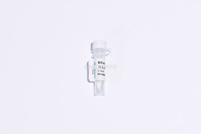 RFectᴾᴹ原代细胞质粒DNA转染试剂盒，可高效转染多种原代细胞