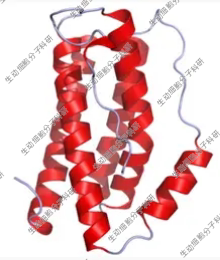 APExBIO多效细胞因子IL-6,rat recombinant重组大鼠IL-6 仅供科研