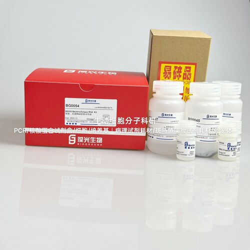 BGMG细菌/真菌RNA提取试剂盒,快速释放样本RNA,磁珠法高质量提取