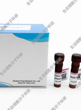 SYBR Green qPCR Mix(含示踪染料)双染料示踪系统,用于qPCR/rtPCR