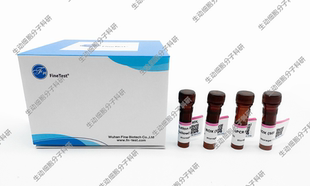 SYBR Green qPCR Mix(含示踪染料)双染料示踪系统,用于qPCR/rtPCR