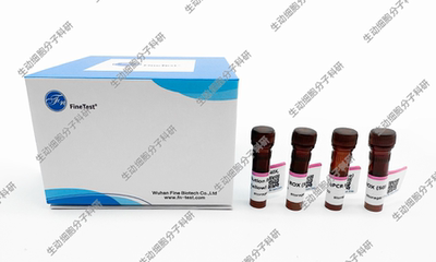 SYBR Green qPCR Mix(含示踪染料)双染料示踪系统,用于qPCR/rtPCR
