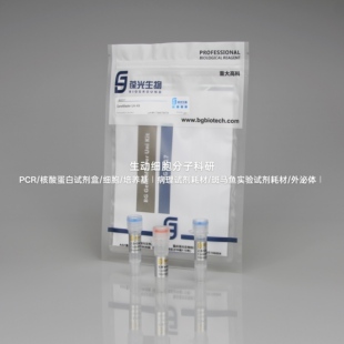 Kit简单3片段 Gene Master Uni 末端保真性高 5000bp内单片段构建