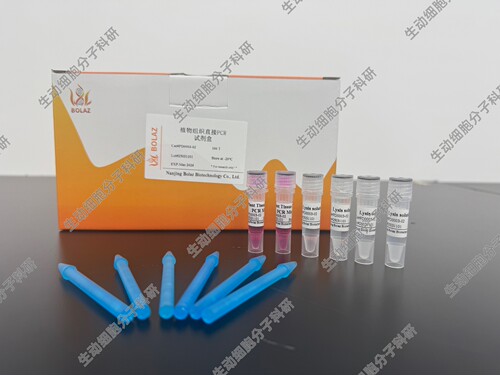 BOLAZ 植物组织直接PCR试剂盒  适用对植物样品快速鉴定及PCR扩增
