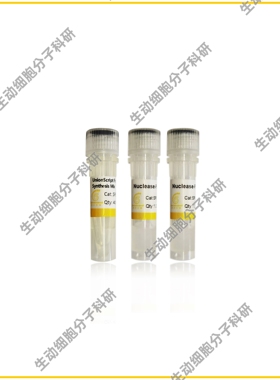 用于qPCR的UnionScript第一链cDNA合成混合物，高效RT-PCR预混液