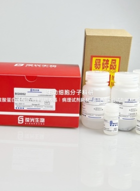 BGMG血清/血浆/全血RNA提取试剂盒,快速释放RNA磁珠法高效富集RNA