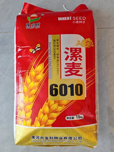湖北水田种植漯麦6010正品小麦种子高产大穗抗赤霉病根腐病