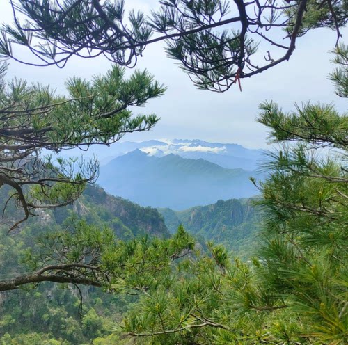 这是一家感情店一分钱素材124