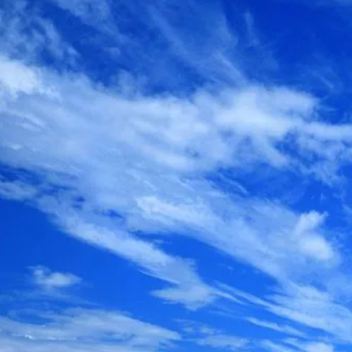 这是一家感情店一分钱素材124