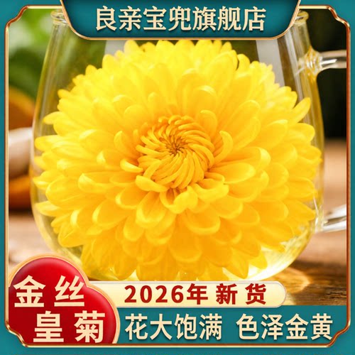 金丝皇菊茶特级大朵清热去火
