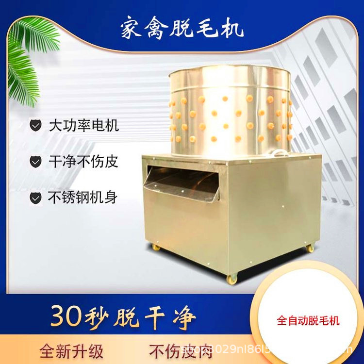菜市场杀鸡脱毛机 商用不锈钢鸡鸭拔毛器 家禽屠宰打毛器