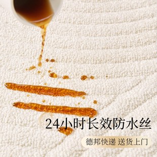 轻奢高级感防水防污家用沙发卧室地垫免洗可擦 客厅地毯2024新款