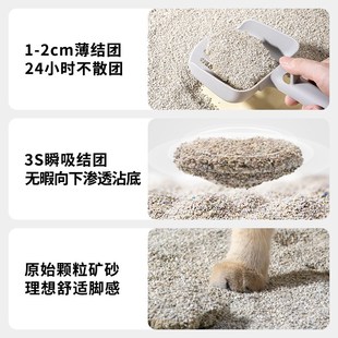 活性炭抑菌膨润土无尘除臭猫砂 比亿奇钠基矿物石猫砂20斤