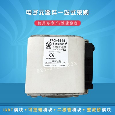巴斯曼熔断器保险丝170M6521 6524 6534 6538 6539 6540 6541全新