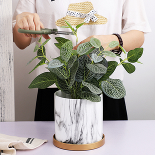 北欧大理石花盆陶瓷大号高筒虎皮君子兰多肉绿植盆简约带托盘2021