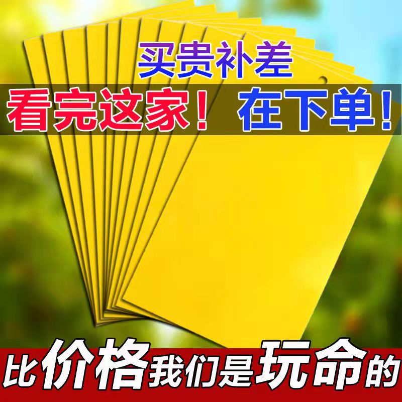 黄板双面粘虫板诱虫蓝板纸贴黄色灭小飞虫沾果蝇粘板果园蓟马大棚