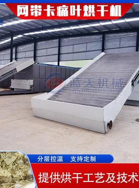 网带式卡痛叶子烘干机 连续式卡痛叶提取物烘干设备 Kratom烘干机