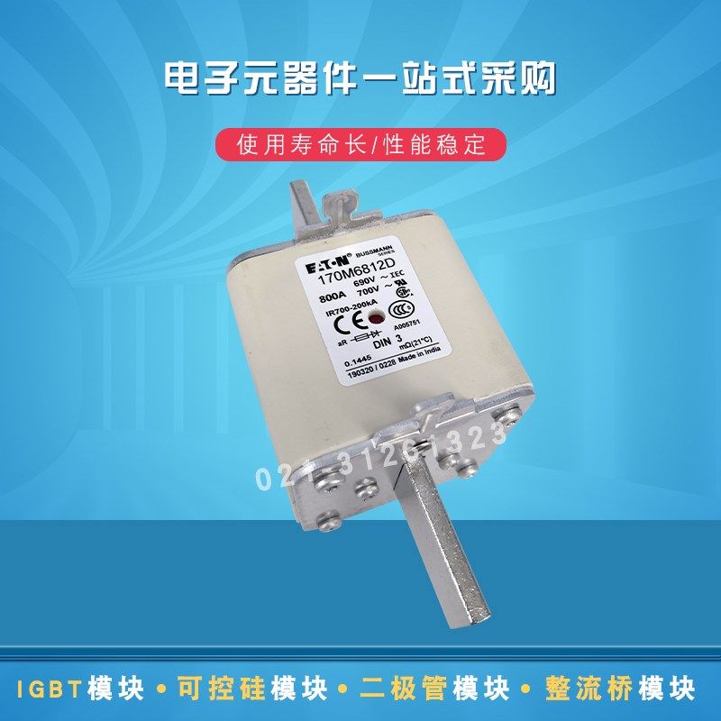 170M6817 6827 6828 6829 6830 6831 6832 6833快速熔断器保险丝