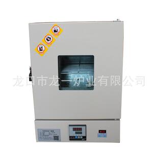 电热恒温鼓风干燥箱热风循环250度工业烘箱鼓风干燥箱优惠