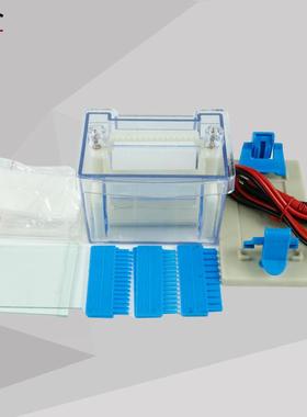 27023垂直电泳槽高中生物新课标教学演示实验仪器