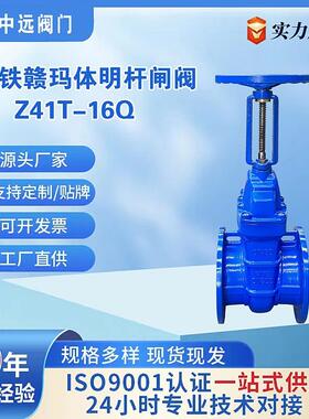 球铁明杆Z41T-16Q球墨铸铁直通径铜芯不锈钢杆赣玛体明杆法兰闸阀