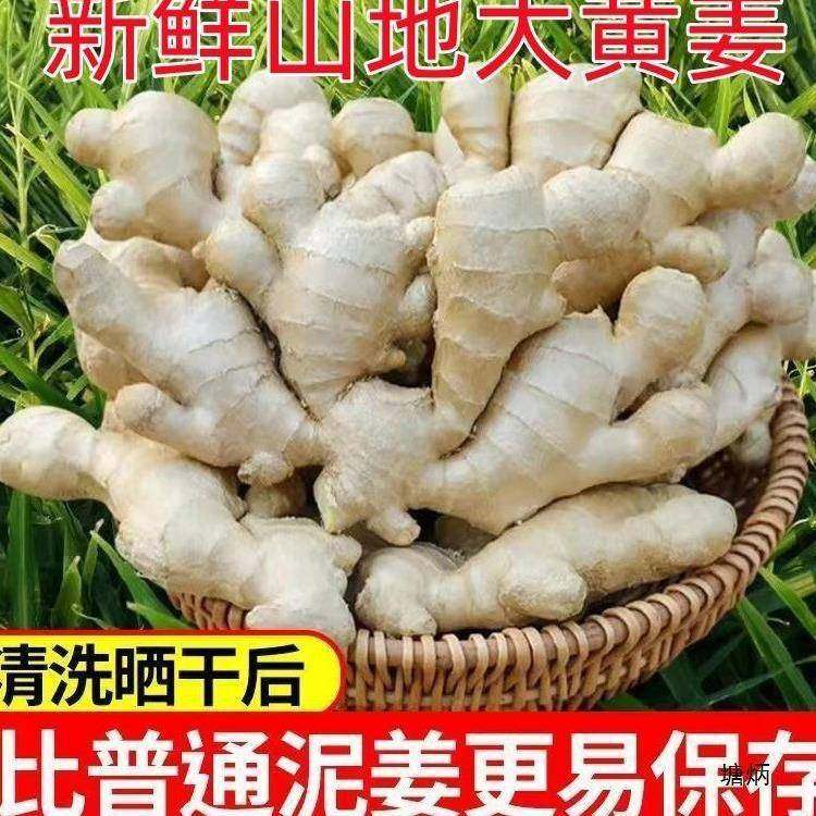 现挖广西大黄姜新鲜老姜生姜9斤月子姜蔬菜包邮非山东大姜嫩姜沙,水产肉类/新鲜蔬果/熟食,脱水蔬菜,淘宝优惠券,粉丝福利购,淘宝优惠卷