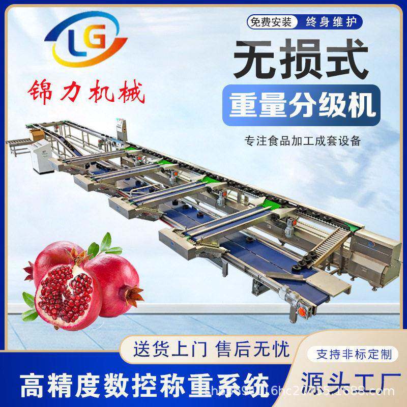 柚子无损选果机水果称重呵福式分选机苹果重量分拣设备