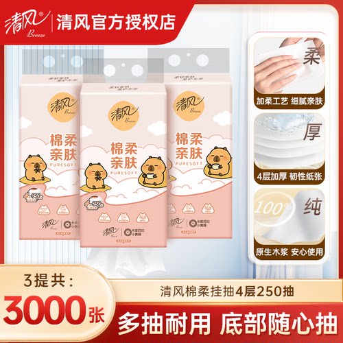 清风卡皮巴拉挂抽4层250抽10提