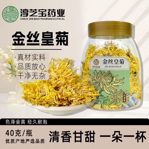 淳芝宝金丝皇菊一朵一杯清香菊花