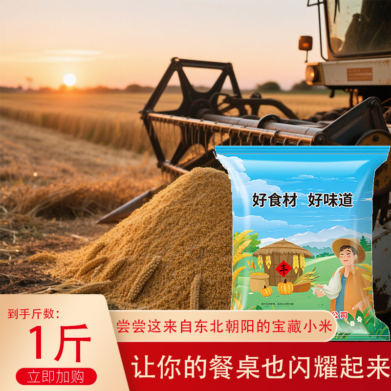 2024年新米上市东北小米1斤装现磨现卖煮粥米杂粮农家自产500g