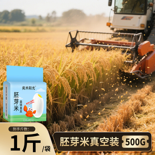 软糯香甜东北胚芽米 2025年新米上市1斤小袋真空包装 奕米阳光