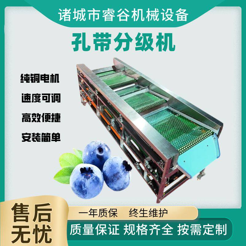 商用果蔬分选全自动蓝莓分级水果橙子李子桃子百香果山楂筛选机