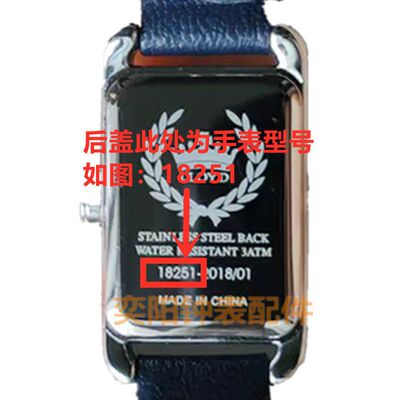 适用于女表17V19169031740119T01