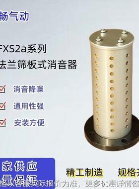 消声器 法兰筛板式消音器FXS2a-F100降噪过滤网气动元件供应