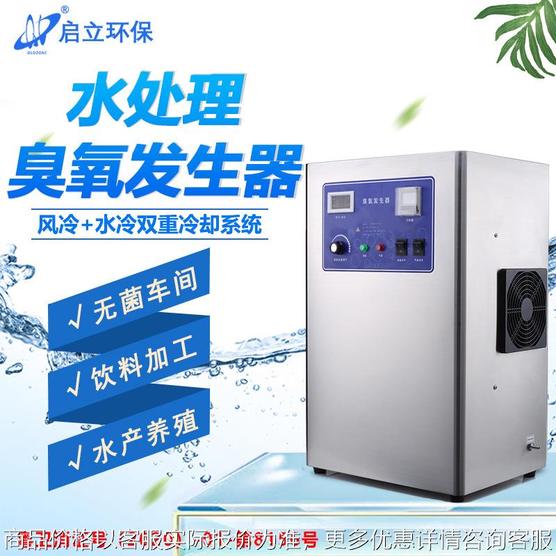 爆款启立15饮用水处理臭氧发生器 纯净水杀菌净化臭氧消毒机泳池