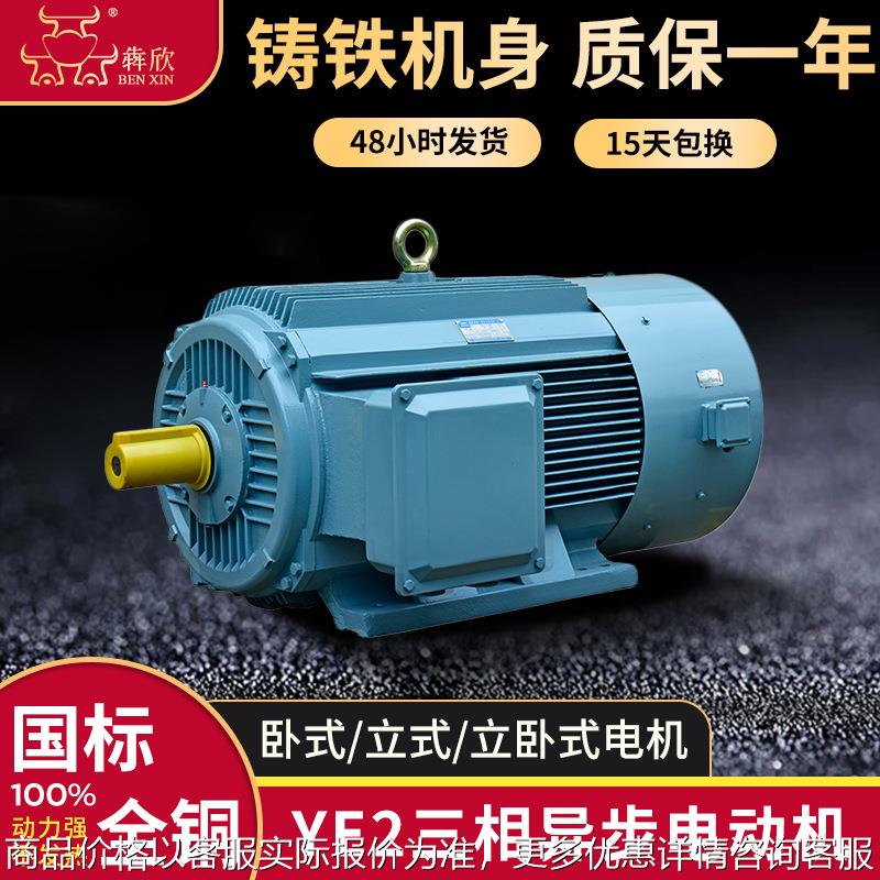110132三相异步电动机160185立卧式2交流电机200现货