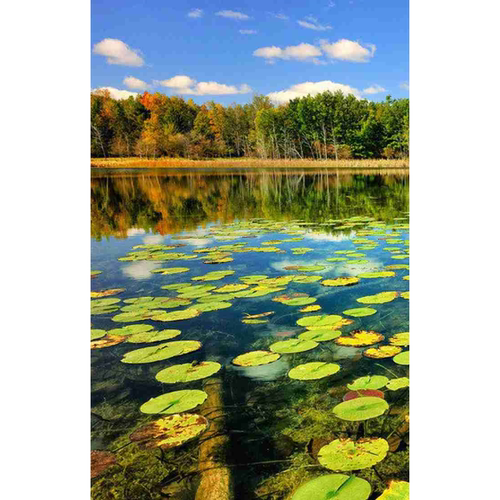 这是一家感情店一分钱素材
