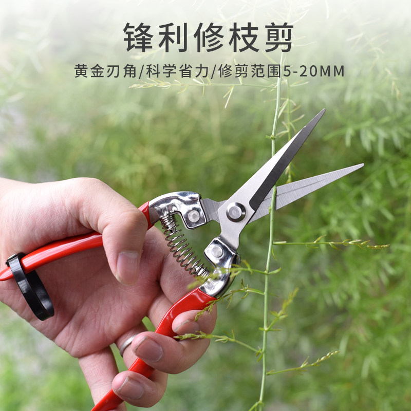 园艺剪修枝剪枝家用强力剪刀多功能园林花艺专用剪子工具修剪果树,鲜花速递/花卉仿真/绿植园艺,剪刀,淘宝优惠券,粉丝福利购,淘宝优惠卷