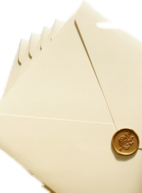 A4纯白信封 空白简约加厚 不反光 尺寸31*22cm