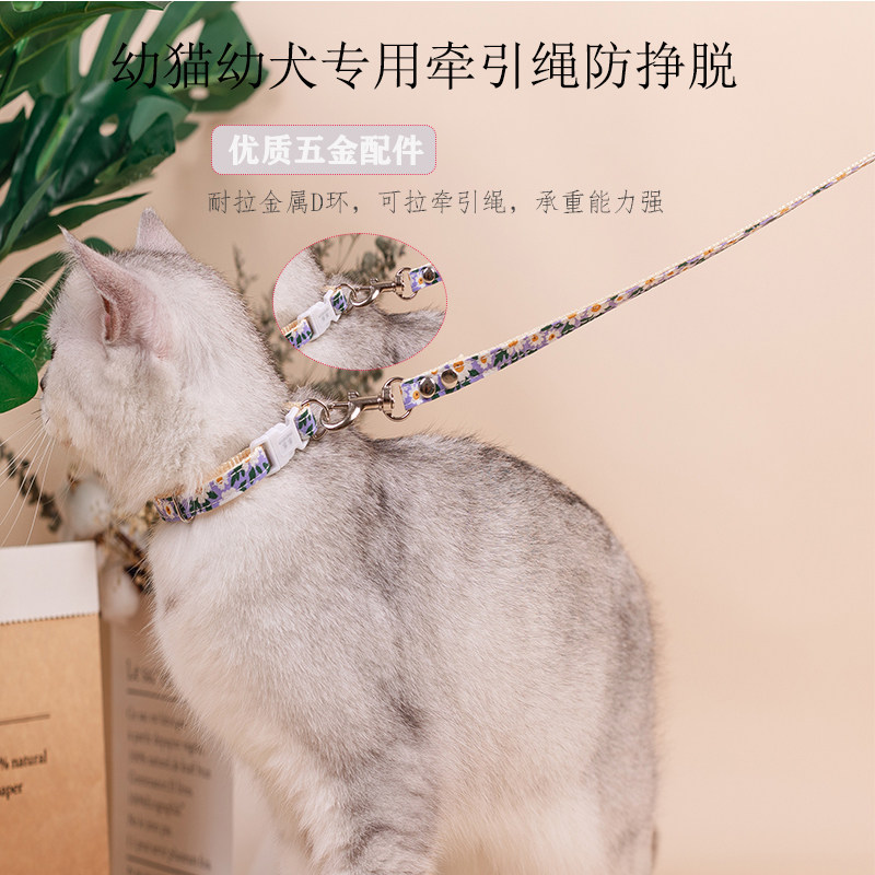 狗狗幼猫咪幼犬牵引绳套脖铃铛牵引绳小型玩具茶杯犬迷你遛狗猫绳,宠物/宠物食品及用品,猫牵引绳,淘宝优惠券,粉丝福利购,淘宝优惠卷
