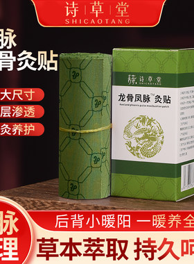 龙骨凤脉灸贴艾草龙骨贴