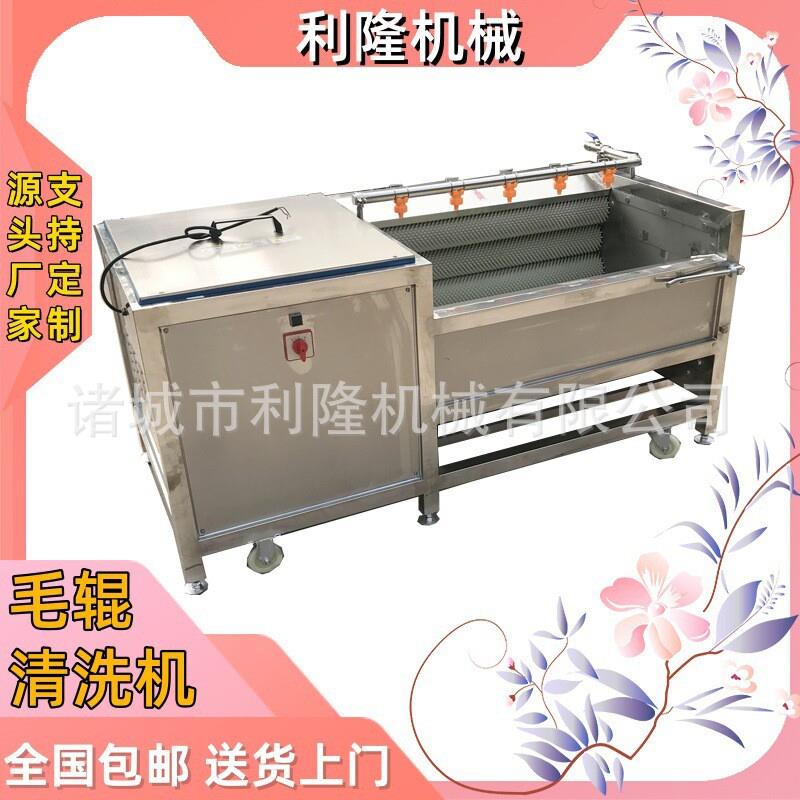 供应土豆去皮机设备 全自动毛辊清洗机 根茎类果蔬清洗去泥一体机