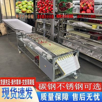 选果机橙子圣女果槟榔百香果枣李子杨梅分级筛果全自动水果分选机