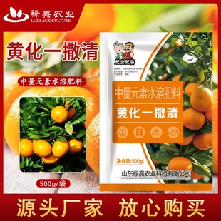 黄化一撒清肥公肥婆微量元素水溶肥改善叶片补充营养强健树势地下