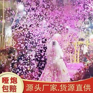 【加量款】安全网罩花瓣雨结婚礼炮礼花筒喷花筒浪漫星河璀璨礼炮